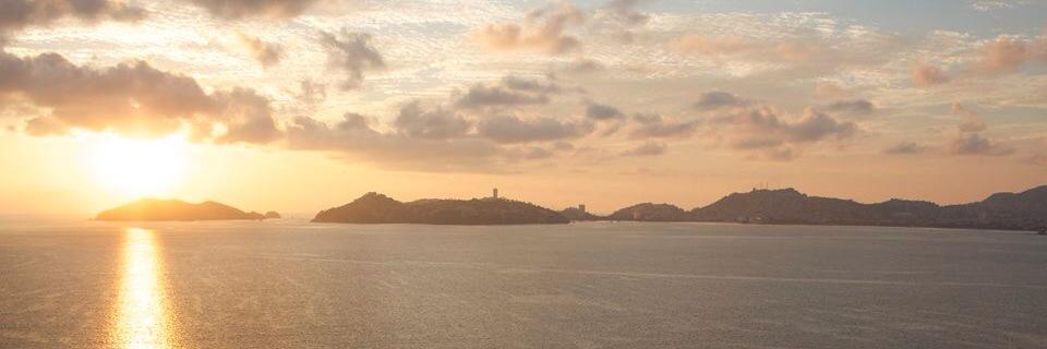 Teddy Forance banner