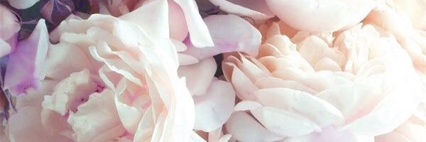 BexCxx's profile banner image