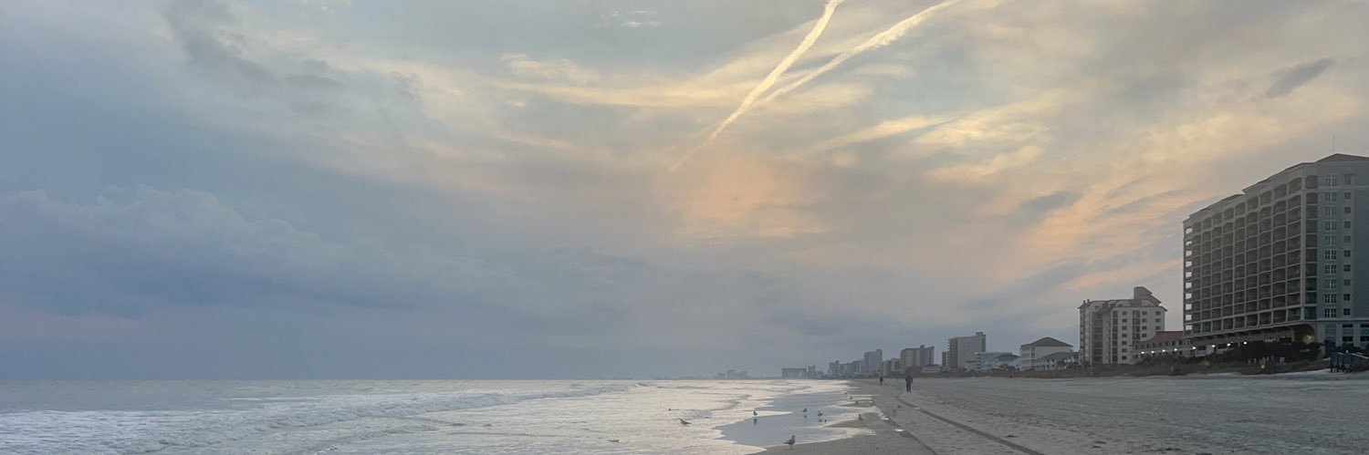 ncarolinacat's profile banner image