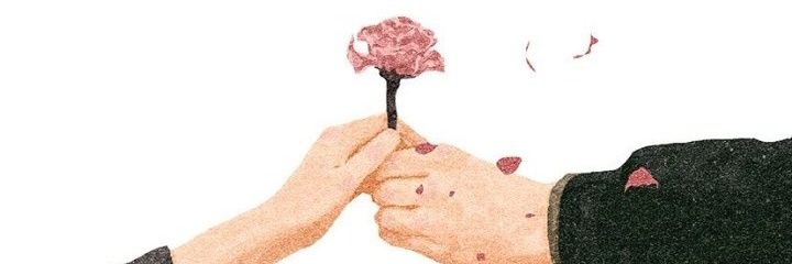 ayabakry4's profile banner image