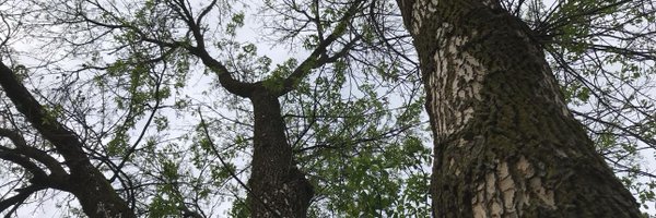 GivingReview Profile Banner