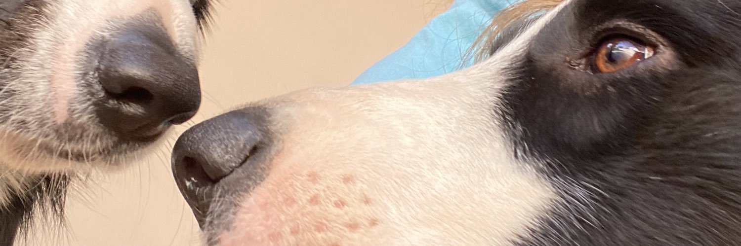 nalubds's profile banner image