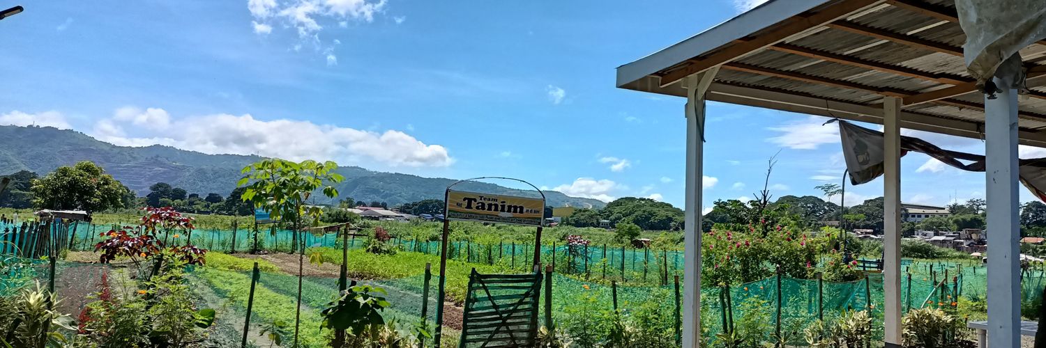 Jamie D!!! 🩺🔥✨🍃 banner