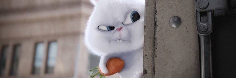 lauribto's profile banner image