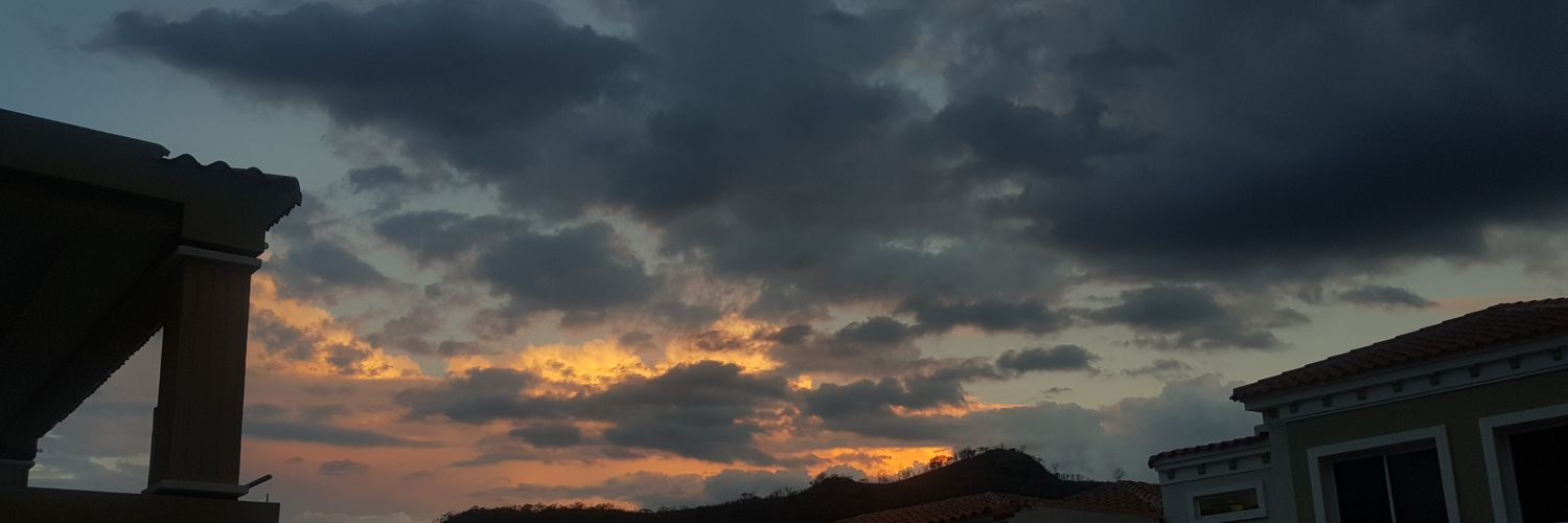 CarlottaPonce1's profile banner image