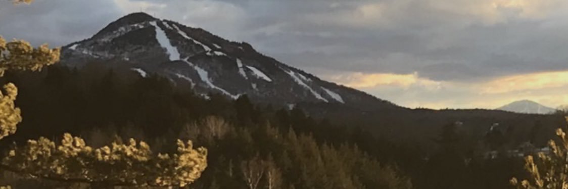 Zubonator banner