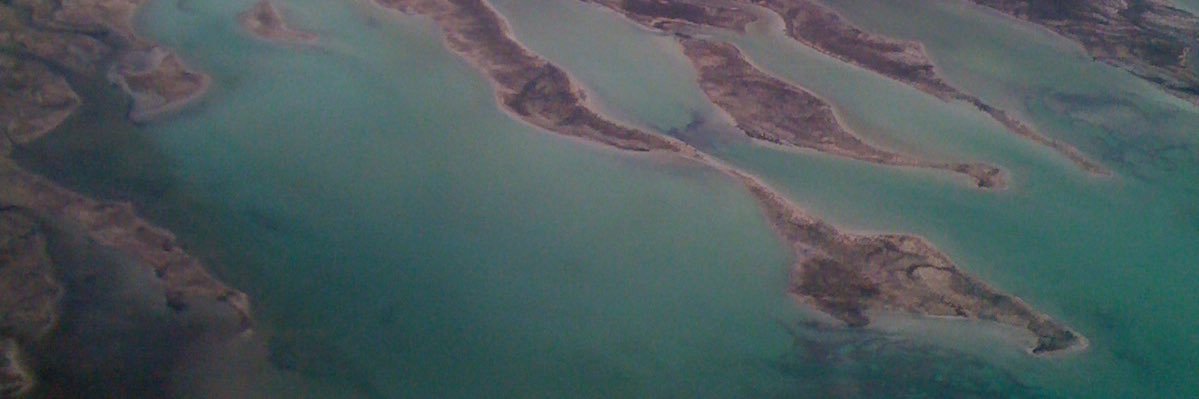 stacywhite33's profile banner image