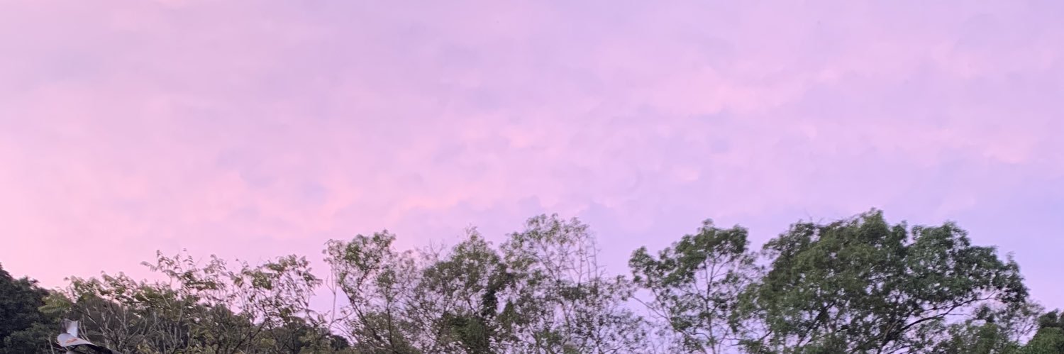 segueadi's profile banner image