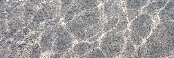 igunestorun Profile Banner