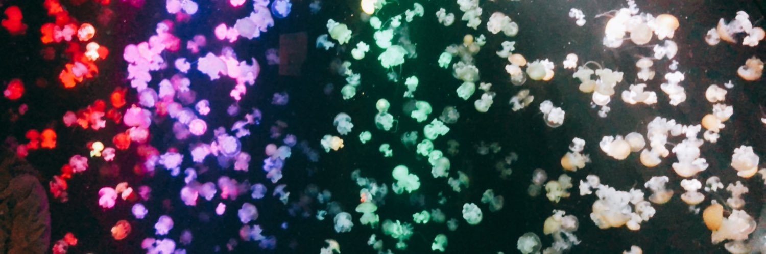 にこ banner