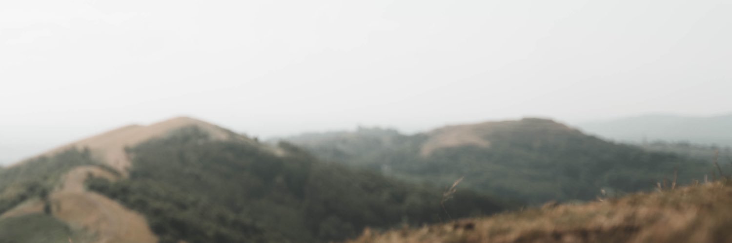 vee ꫂ ၴႅၴ | cosevie 🧝‍♀️'s banner