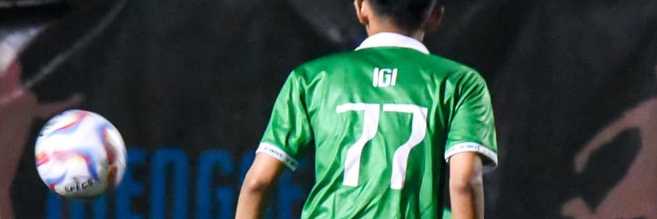 nina banner