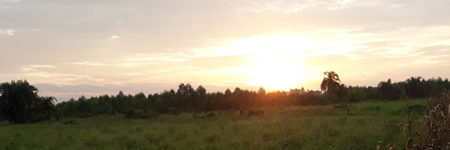 Derrick Semugenze banner