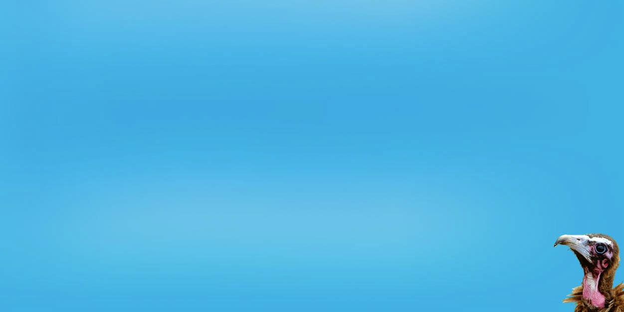 PPoular's profile banner image