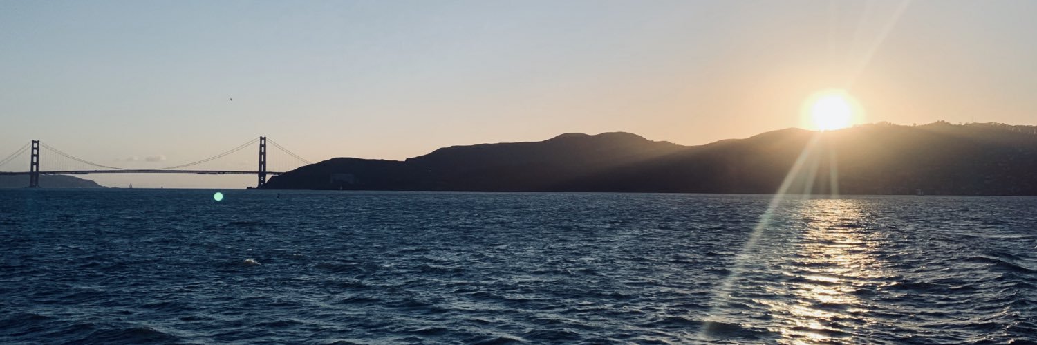 Dan banner