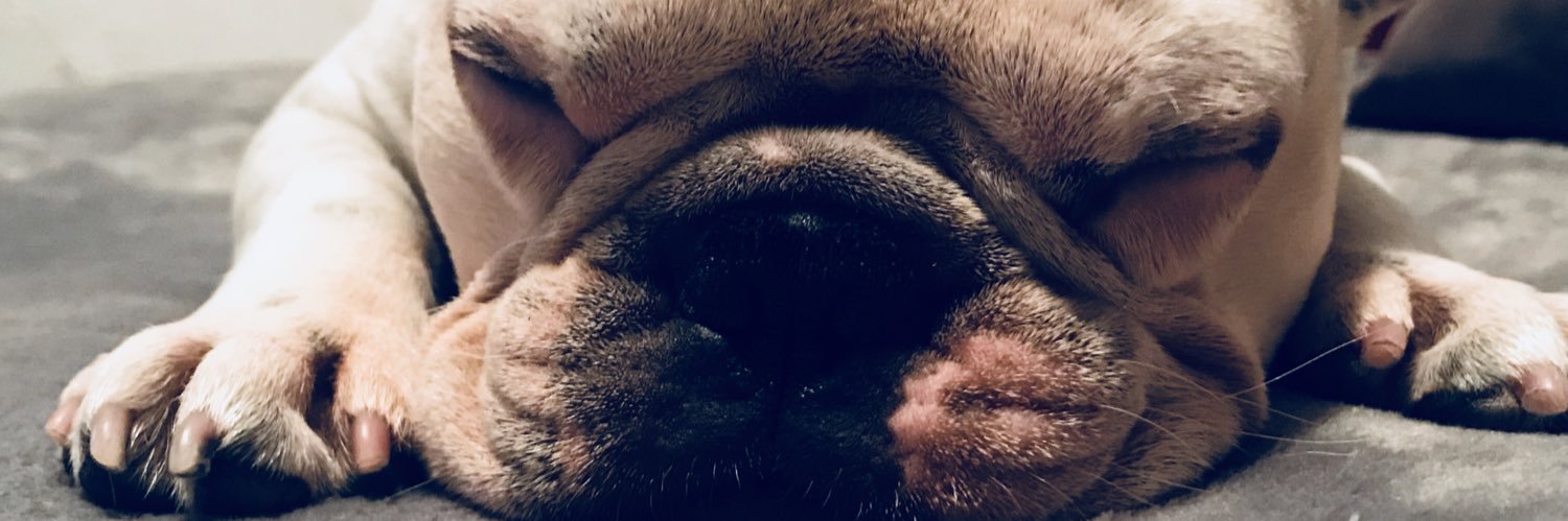 MariaJCastilloP's profile banner image