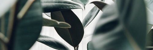 7 A W R A banner