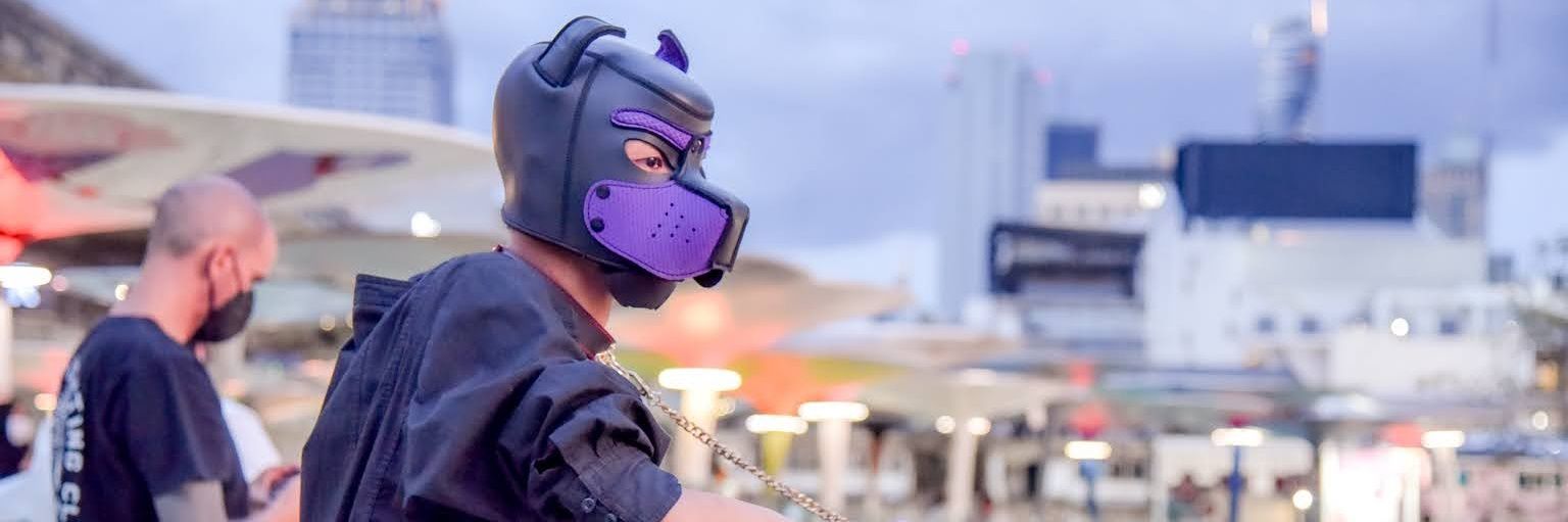 LLLittle_dog🐶🏳️‍🌈🇹🇭 banner