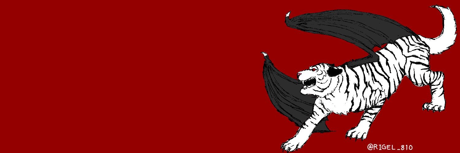 RIGEL😈🐯@VRゲーム実況 banner