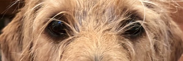 BevilConway Profile Banner