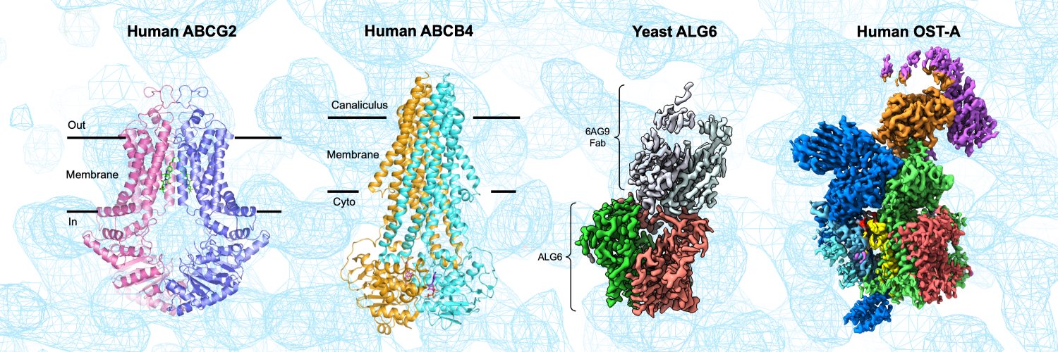 Locher Lab banner