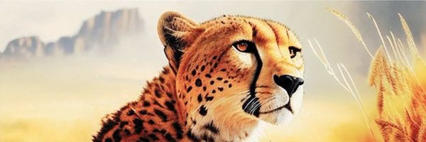 SoulPitStop1 Profile Banner