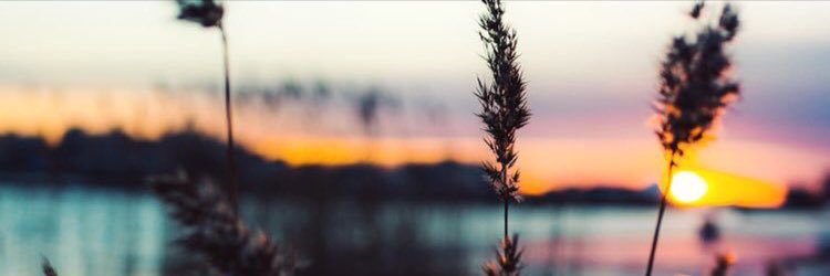 LaurenisFast's profile banner image