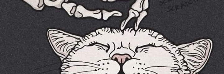 MizuTankian's profile banner image