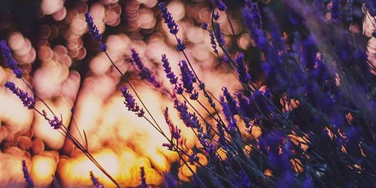 TanyaDraitseva's profile banner image