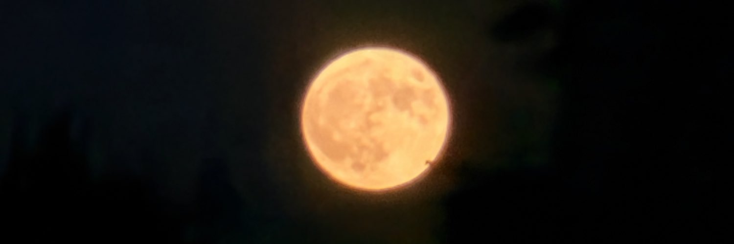 taydearth's profile banner image