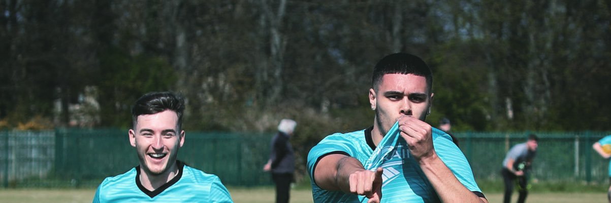 Swallownest Village banner