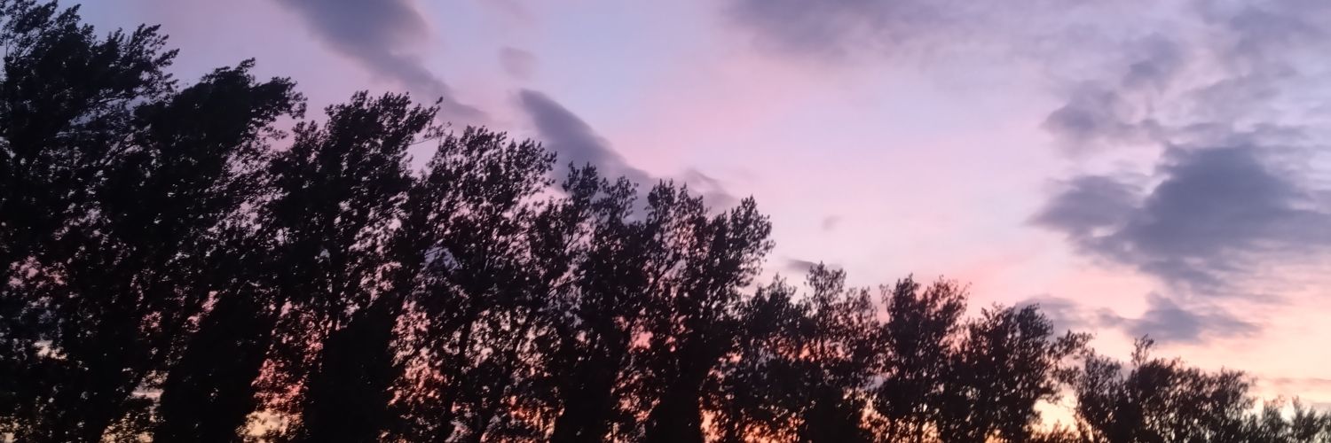 Kyonon38's profile banner image