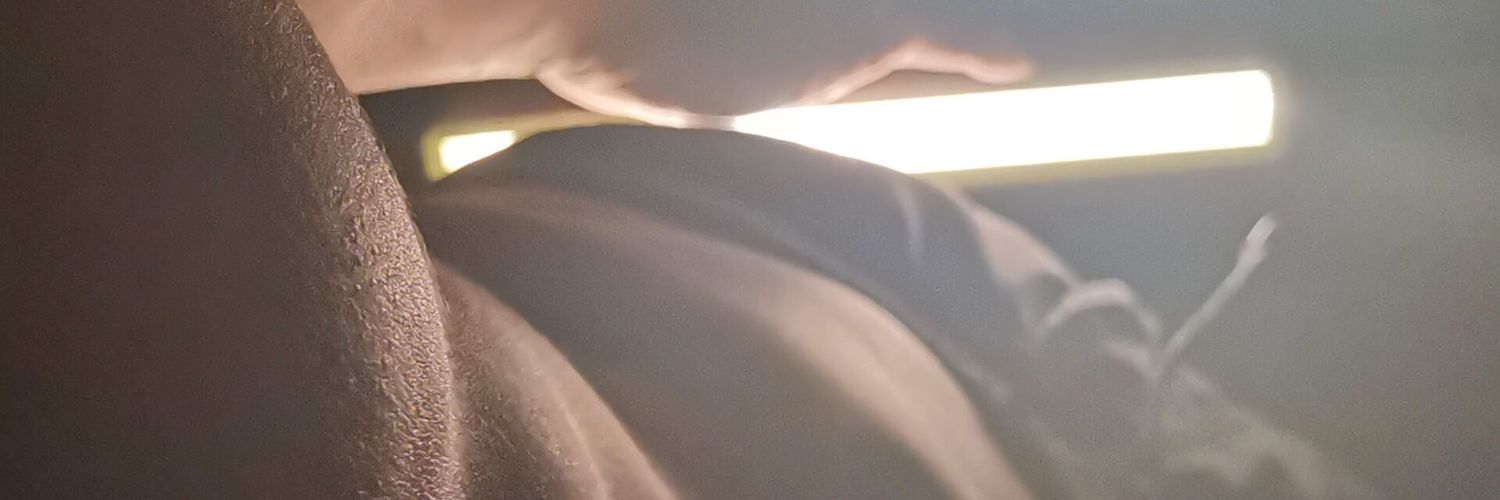 蛋挞杀手（黑奴版） banner