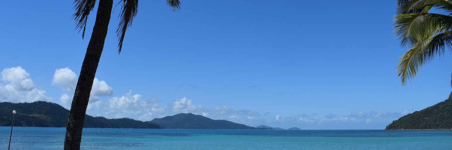 Neil Rodrigues banner