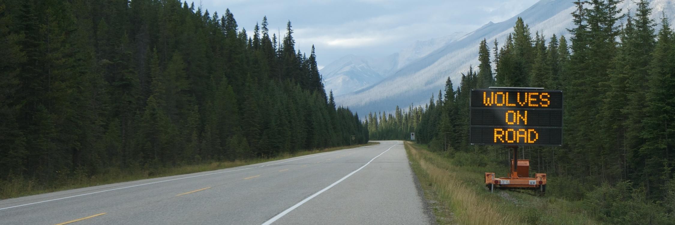 Andrew Davies banner