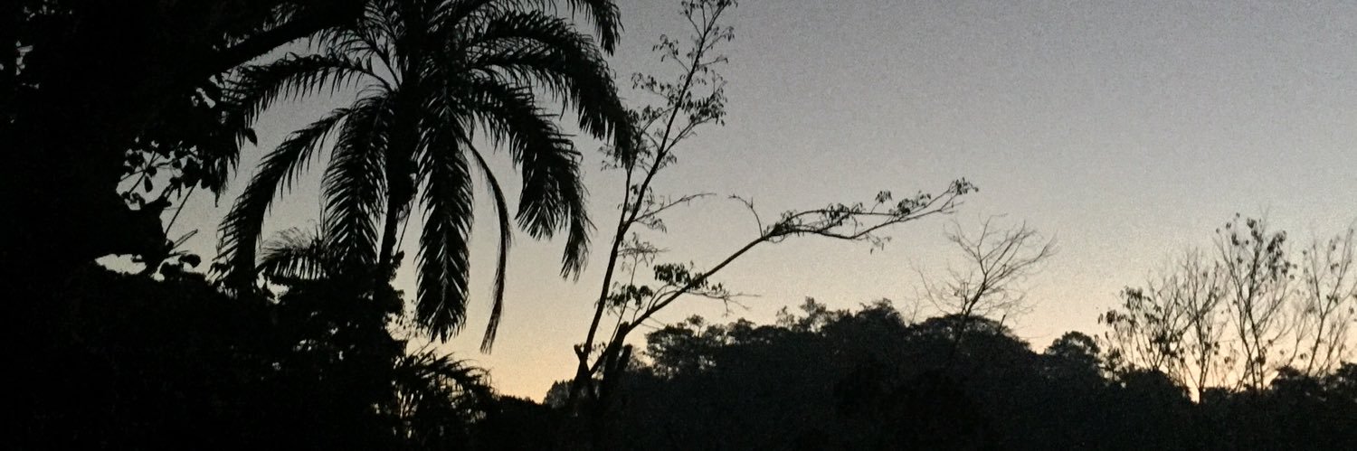 castrogeorge's profile banner image