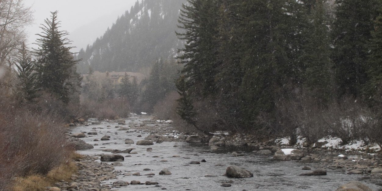 Janelle Q. Bence banner