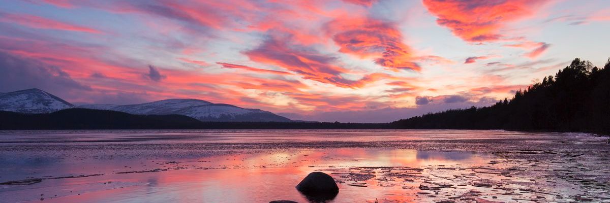 altme123's profile banner image