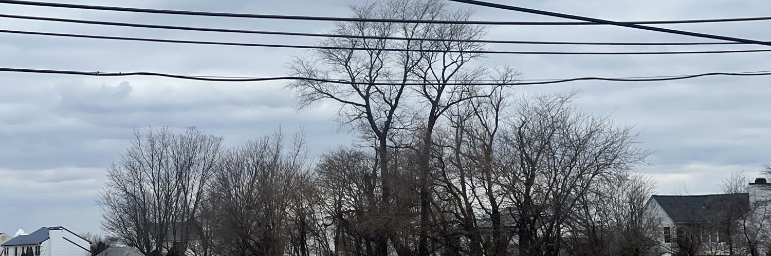 alloutbaseball banner