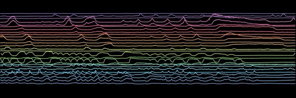 Zimmer_Lab Profile Banner