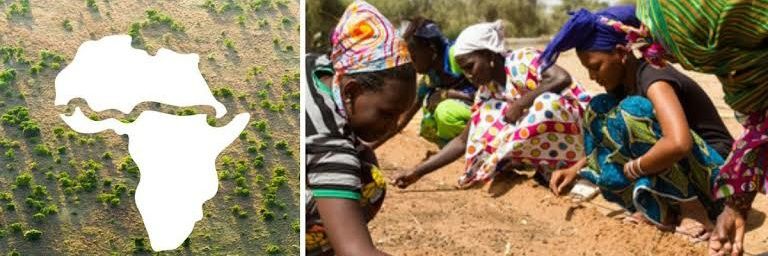 Great Green Wall Africa banner