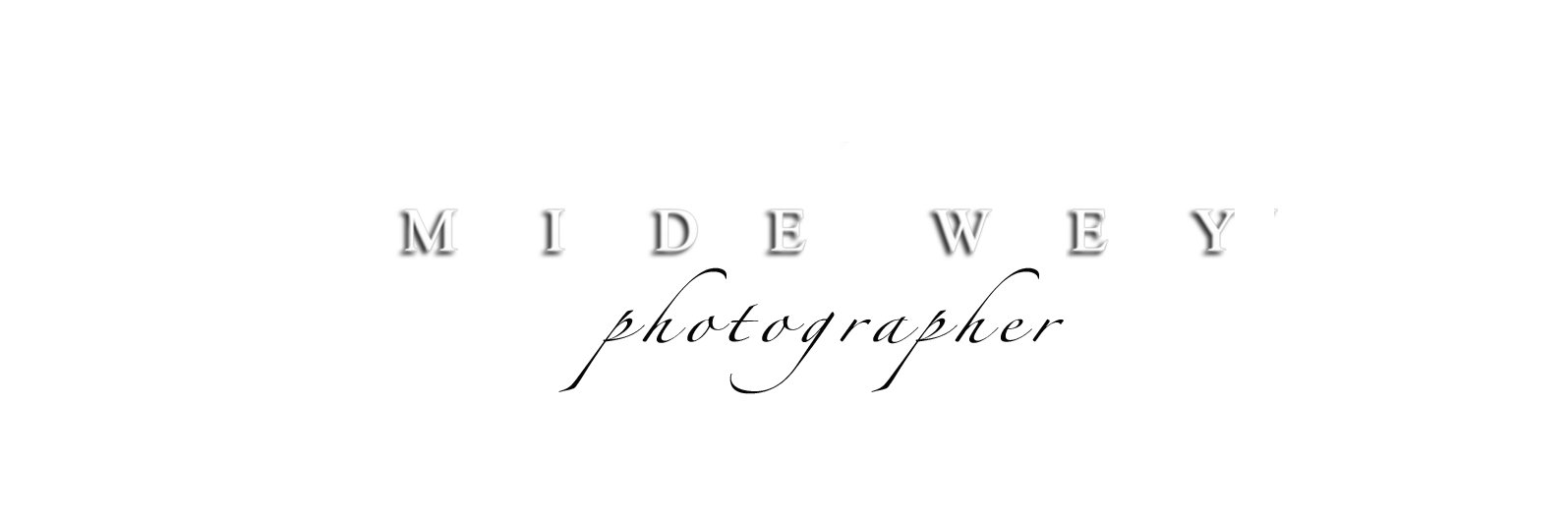 Atlanta Photographer banner