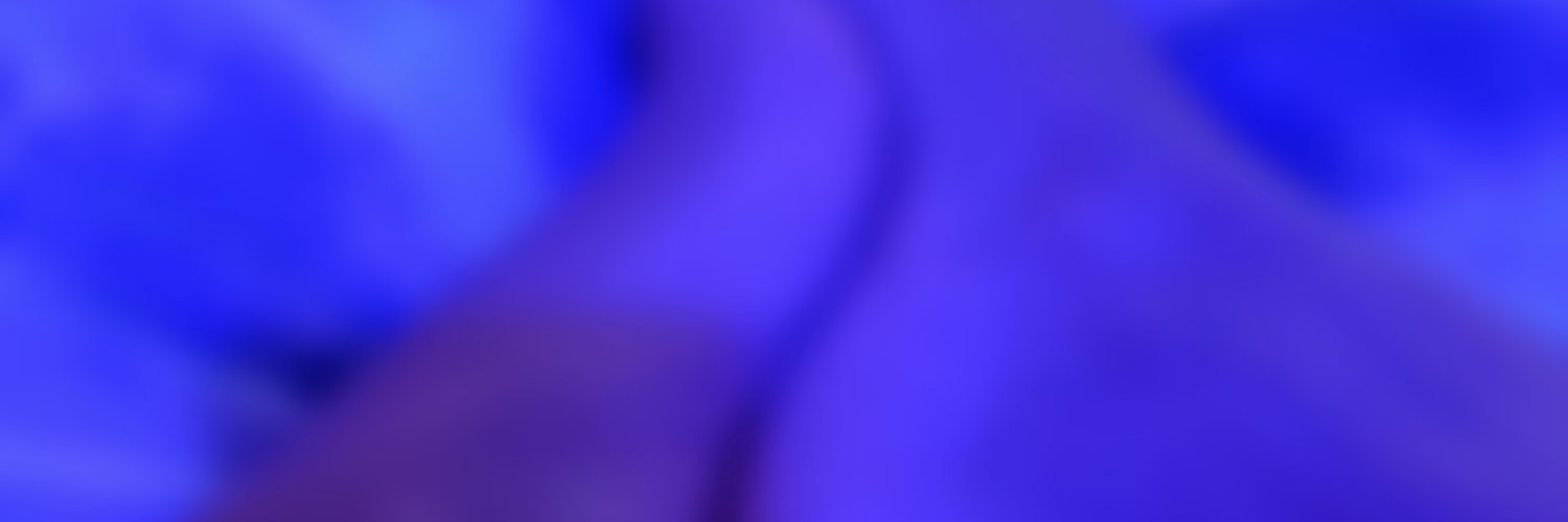 Sofiestoes banner