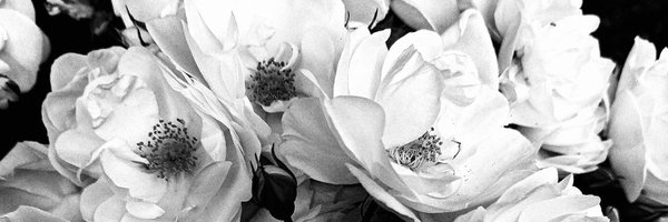 insidemy_esart Profile Banner