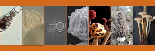 MycoCosm Profile Banner