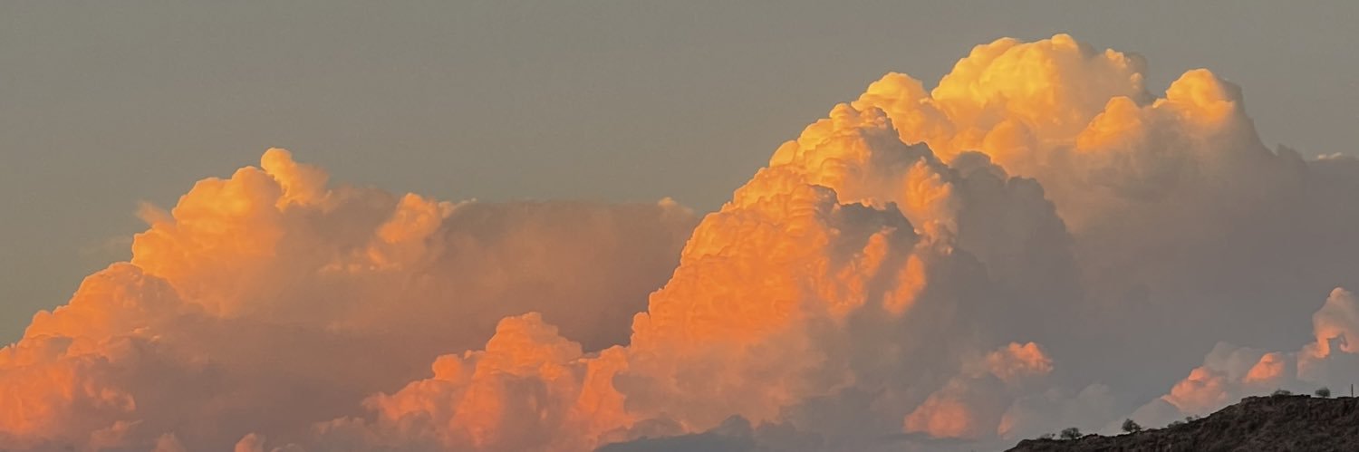 SalbergLondon's profile banner image