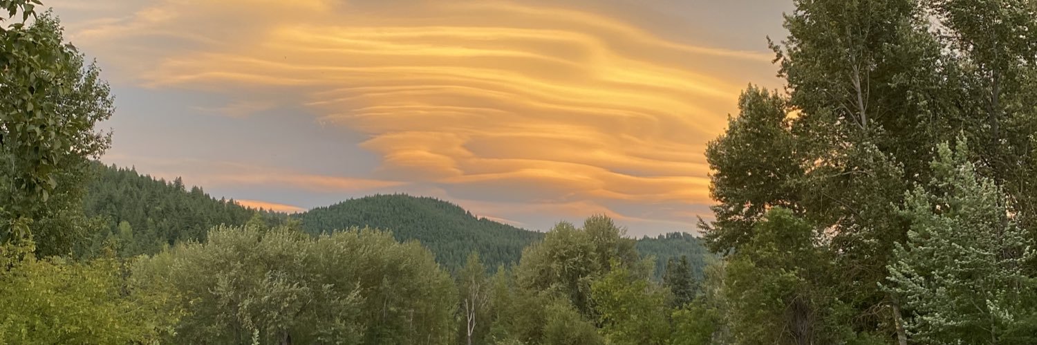 AlisonIsBossy banner