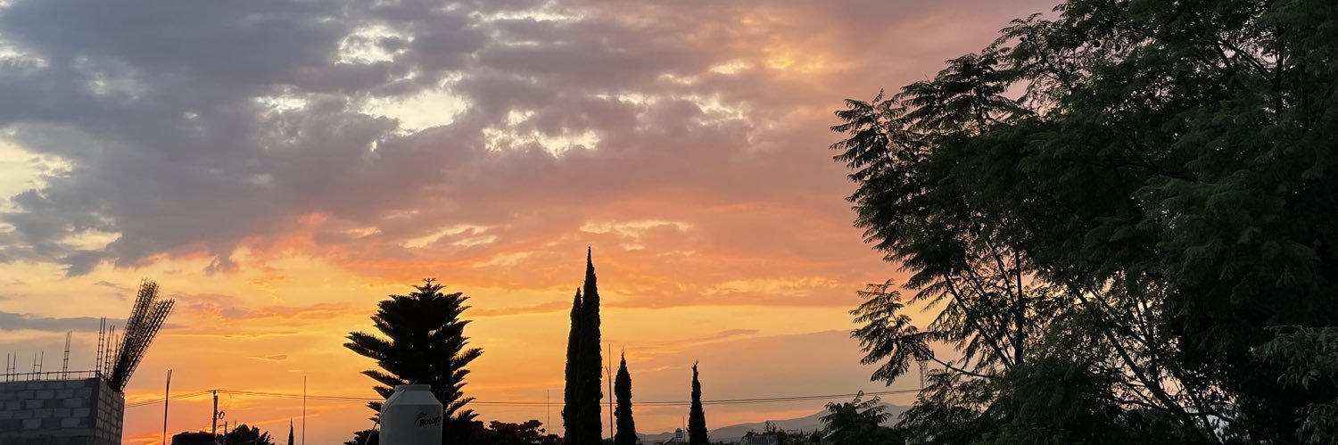 zali out of context banner