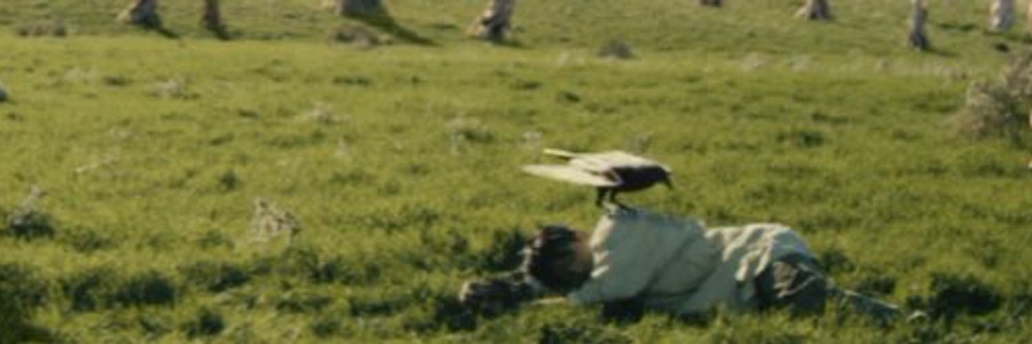 _ravenkook's profile banner image