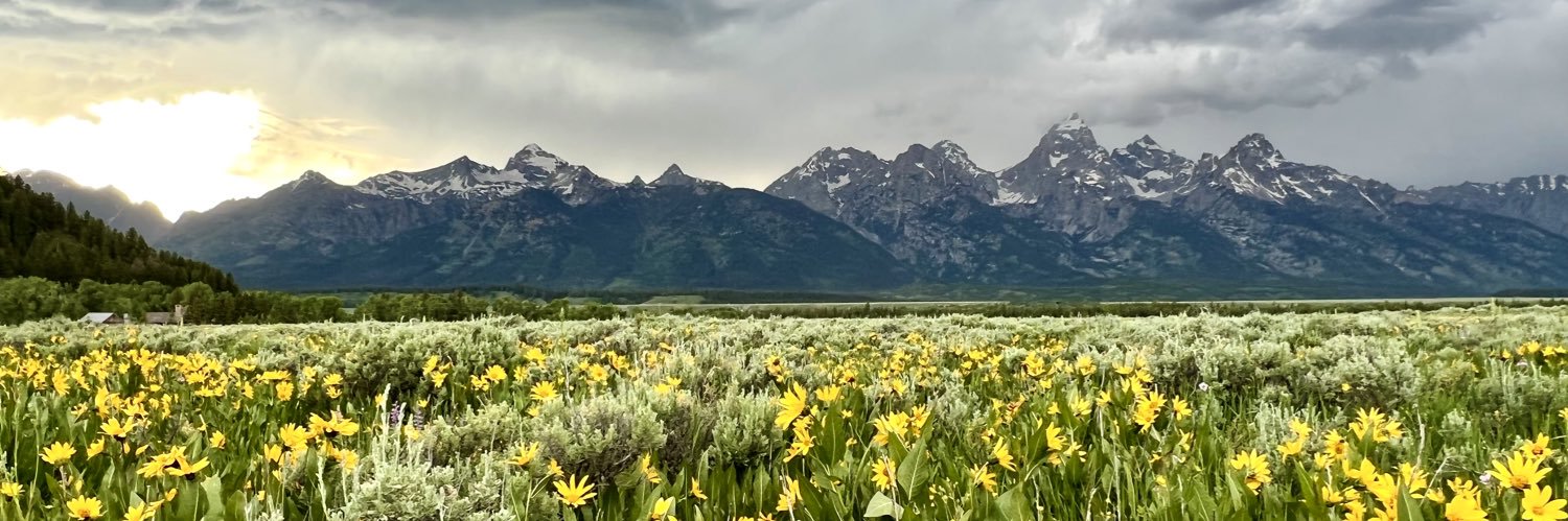 Willy Waffleberger banner